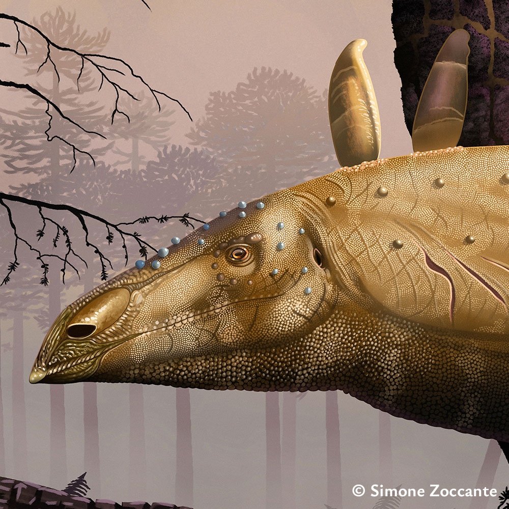 Aegis of Fire - Ritaglio 3