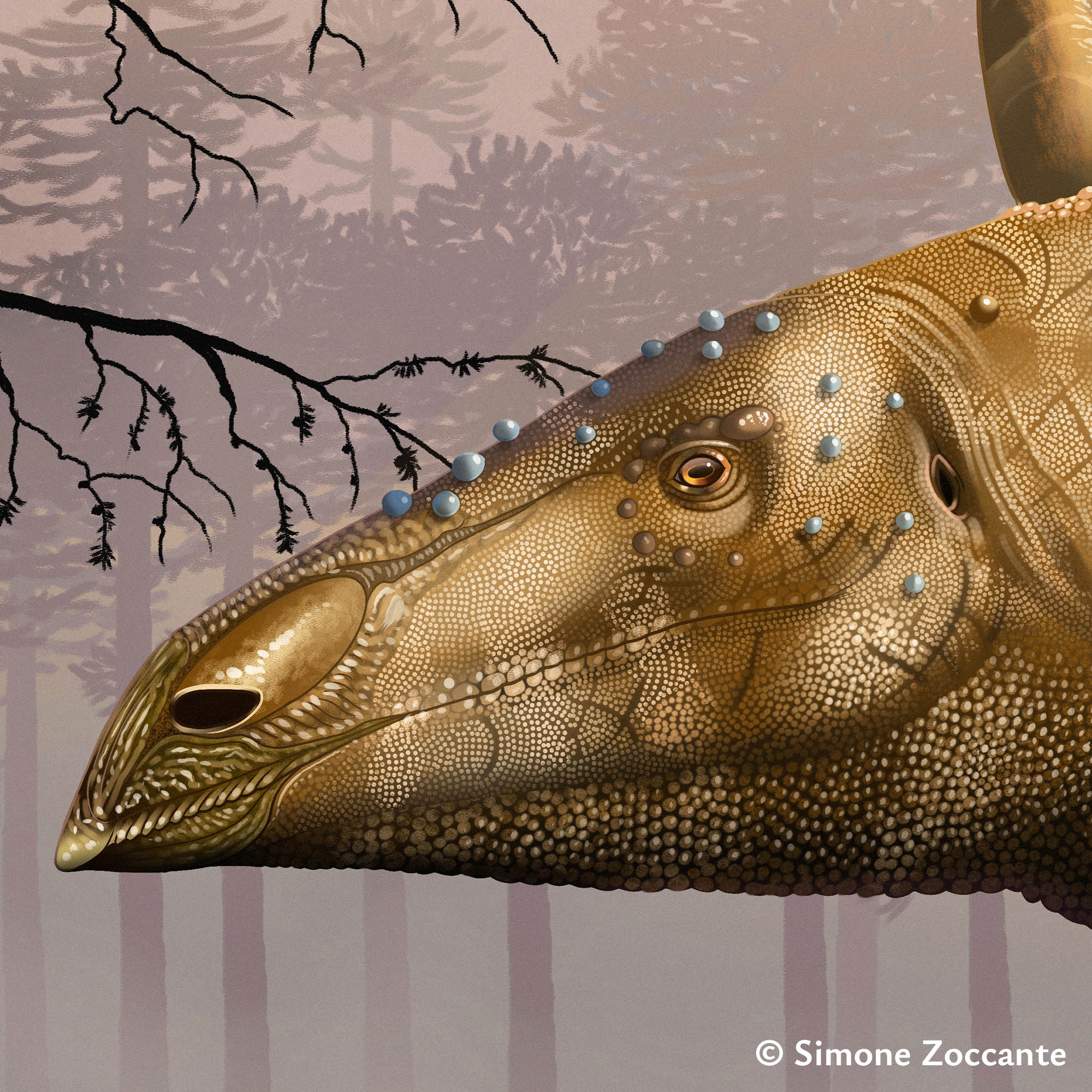 Aegis of Fire - Ritaglio 5