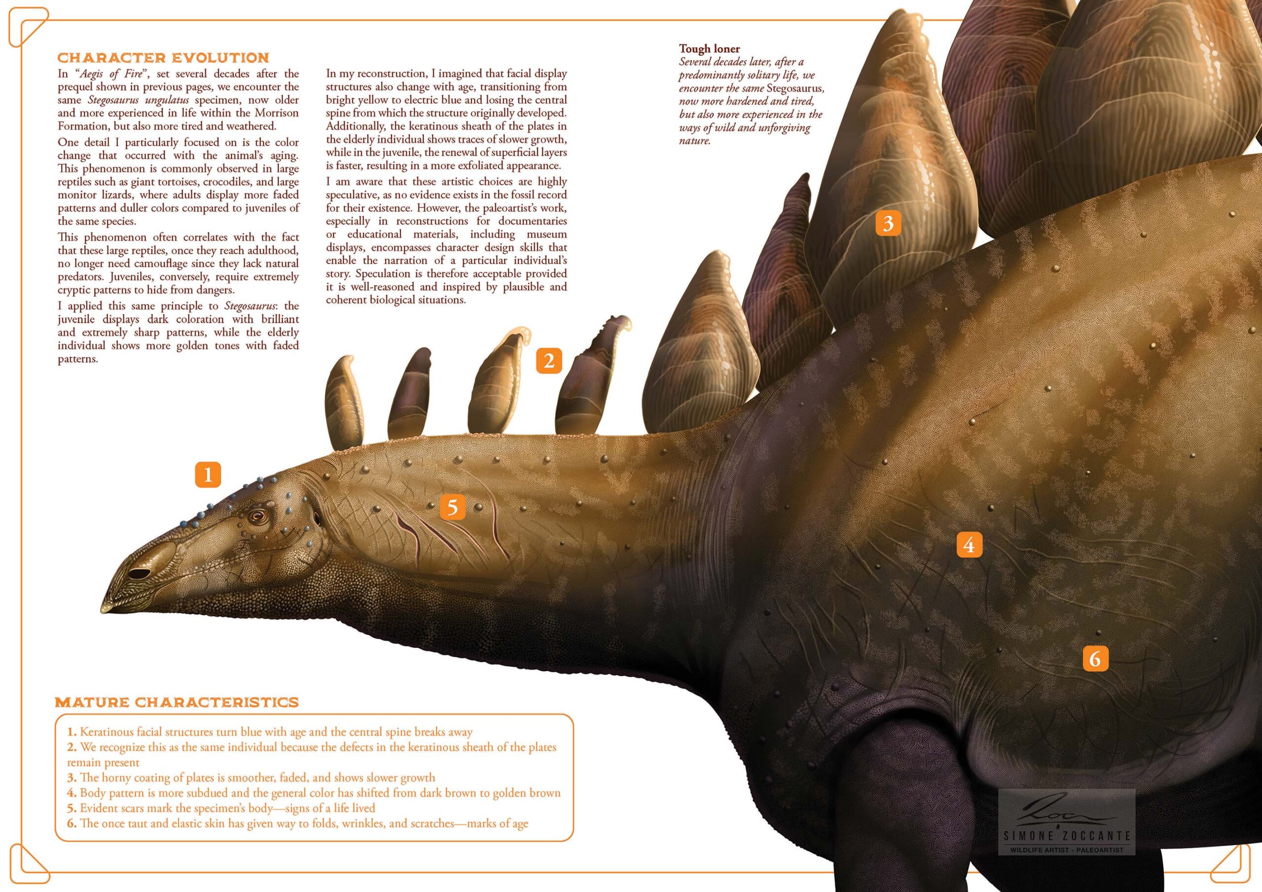 Aegis of fire - 16-17 - Simone Zoccante