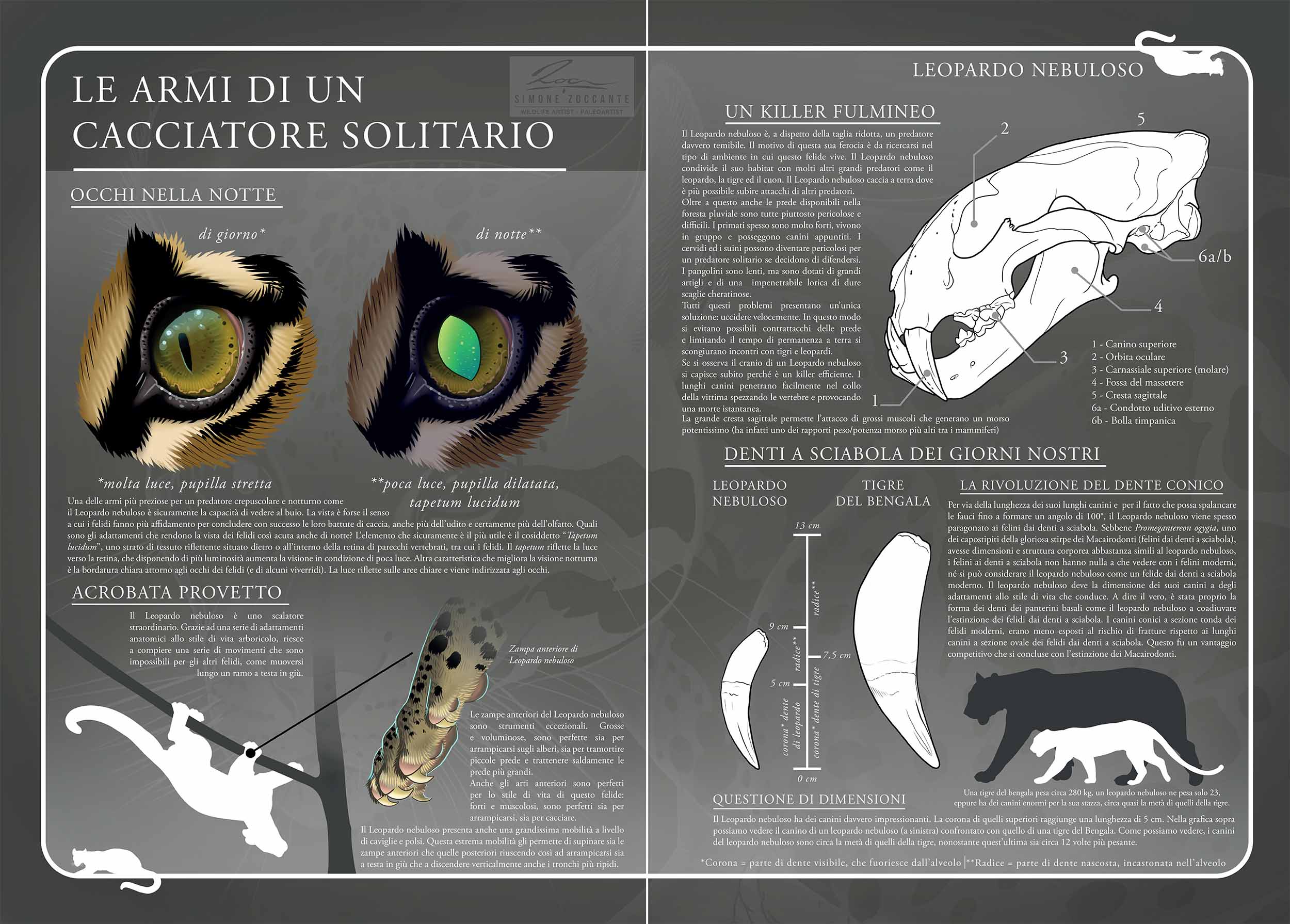 Armi Cacciatore - Simone Zoccante - Artifici Naturali 180