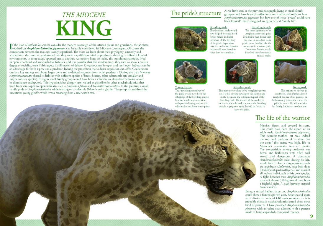 Booklet I left my heart in Pikermi - Simone Zoccante - Pag 05