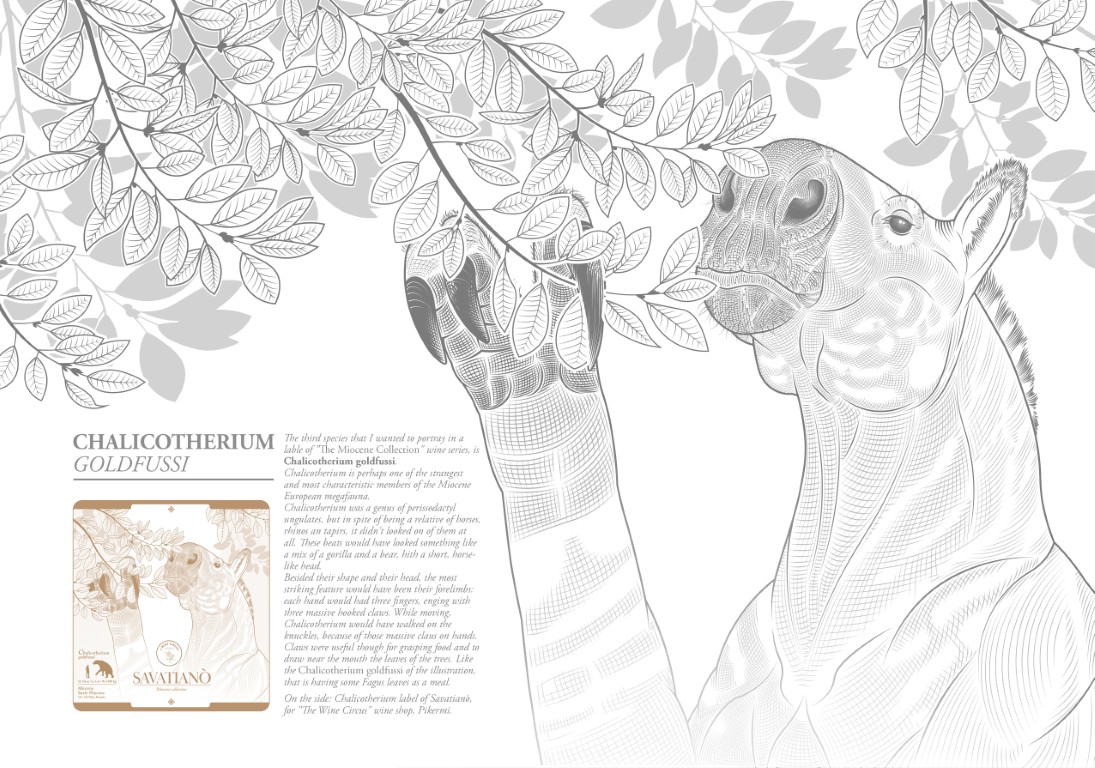 Booklet I left my heart in Pikermi - Simone Zoccante - Pag 14