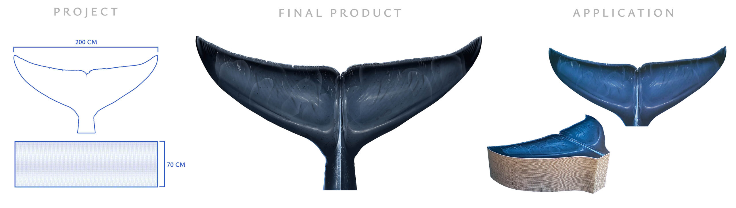 CETACEI ADRIATICO CODA ROW 3800px