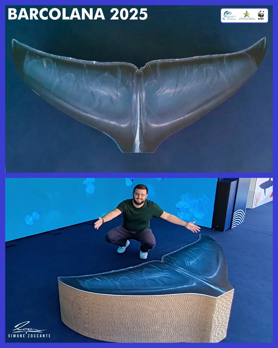 Cetacei Adriatico 2025 - WWF - Simone Zoccante (2)