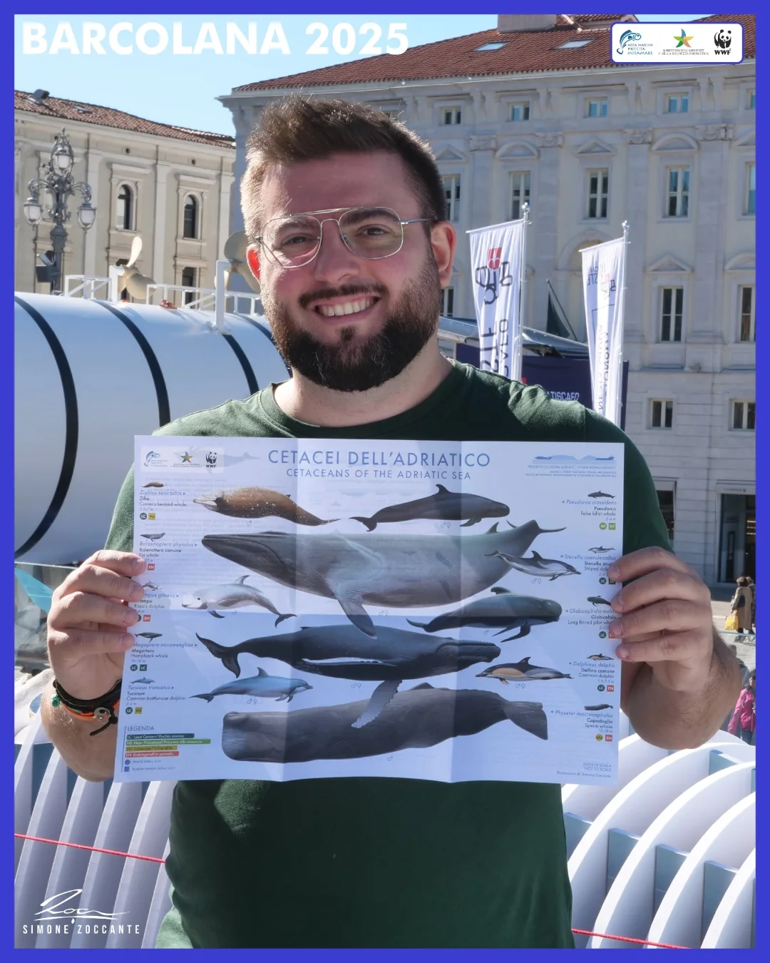 Cetacei Adriatico 2025 - WWF - Simone Zoccante (5)