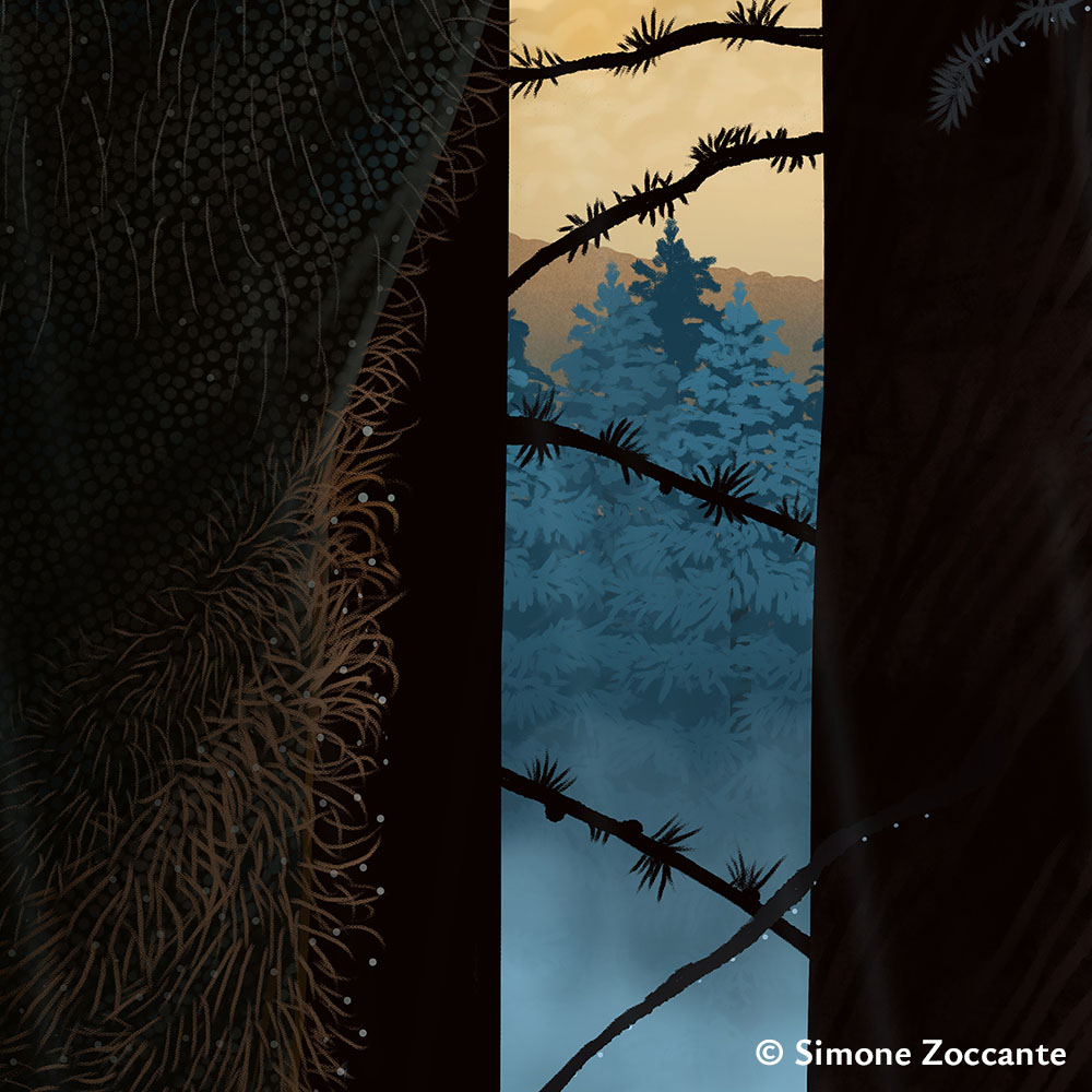 Gorgosaurus libratus - Ritaglio 1