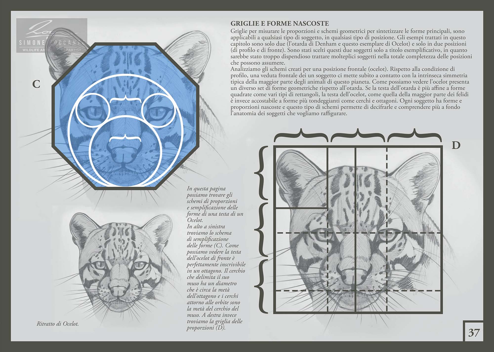 Griglie Nascoste - Manuale Disegno Naturalistico 37
