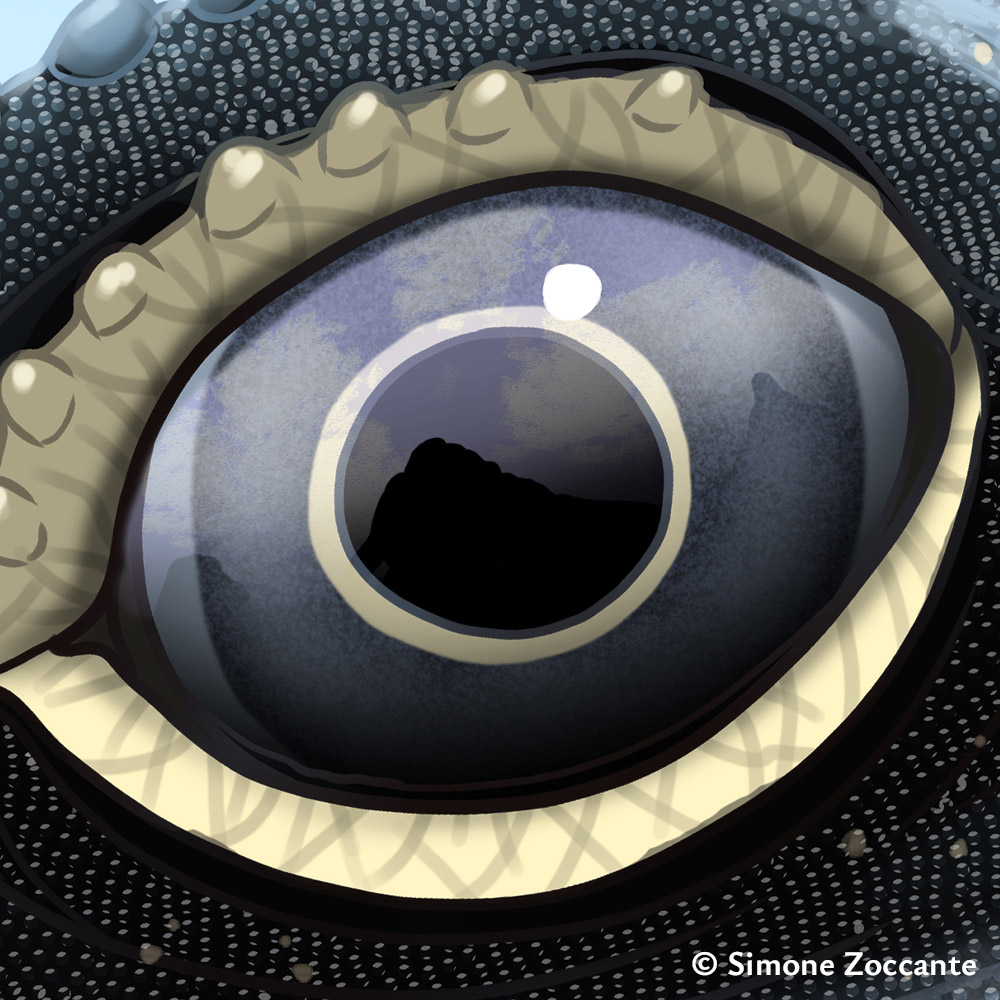 La dolce vita, Lariosaurus - Ritaglio 1