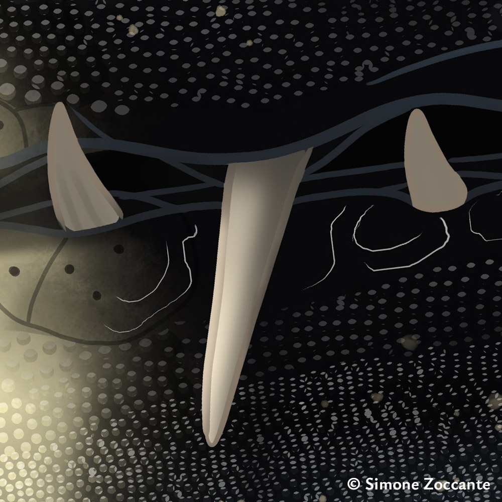 La dolce vita, Lariosaurus - Ritaglio 2