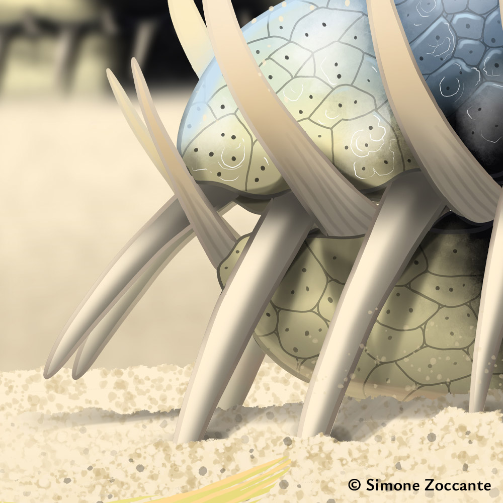 La dolce vita, Lariosaurus - Ritaglio 3