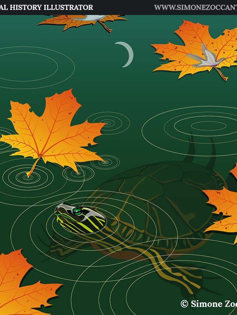 METROPOLITAN SECRET LIFE snapshot simonezoccante-1000px