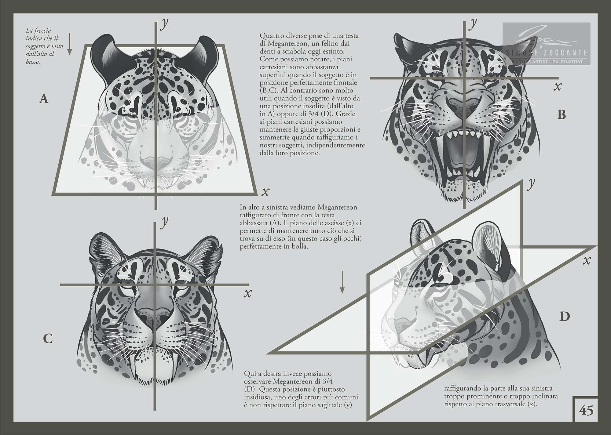 Piani Cartesiani - Manuale Disegno Naturalistico 45