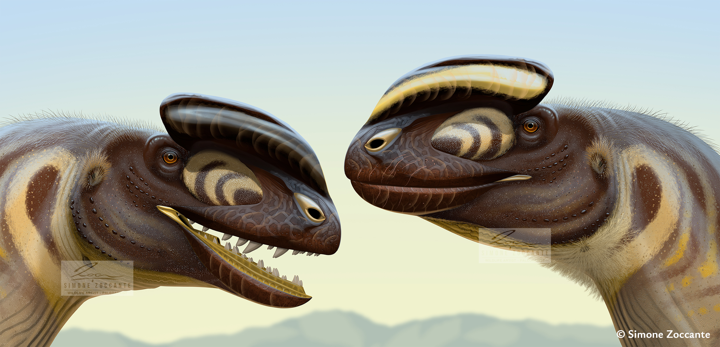 Sinosaurus triassicus - 2500px