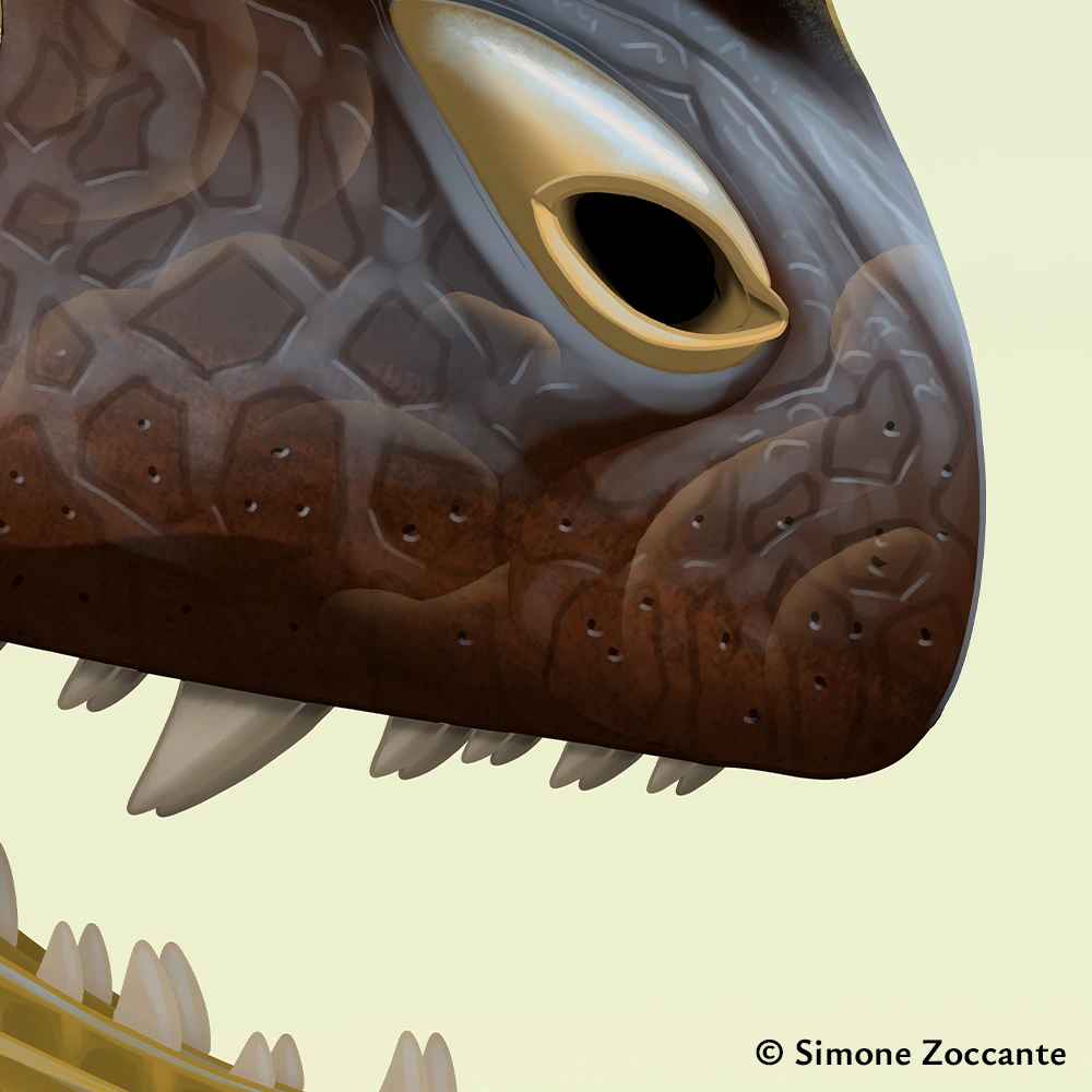 Sinosaurus triassicus - Ritaglio 2