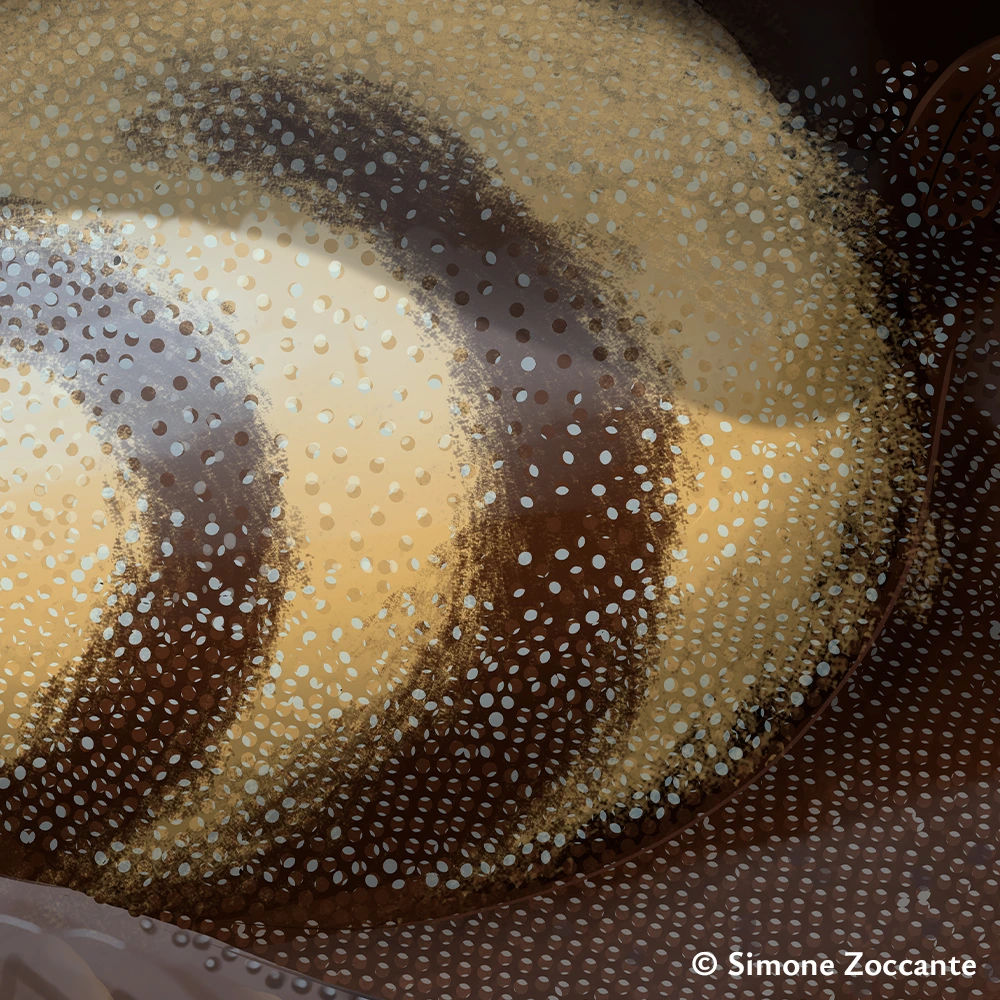 Sinosaurus triassicus - Ritaglio 3