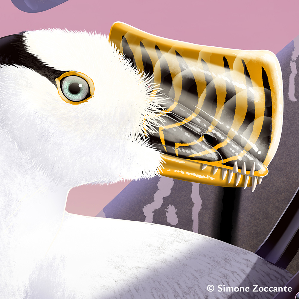 Strange Birds - Eudimorphodon - Ritaglio 2