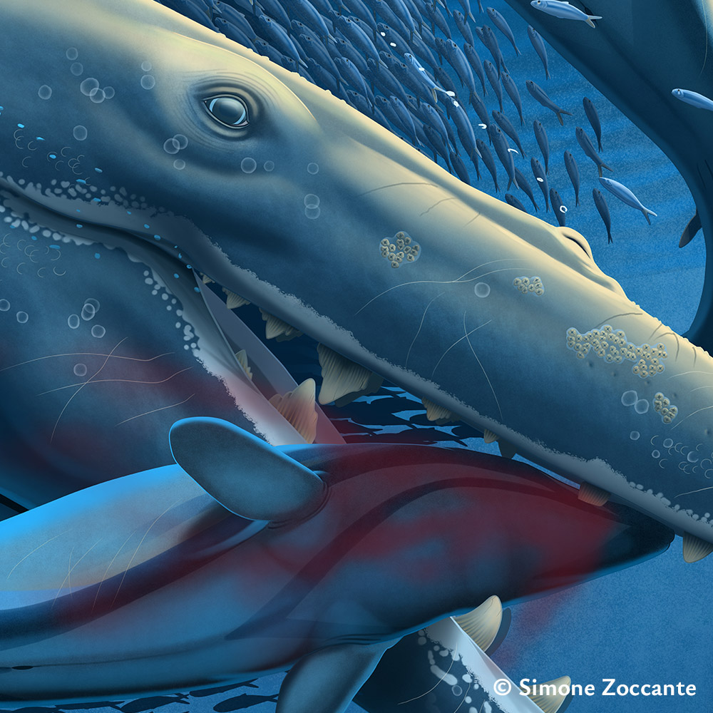 Trophic Dance - Ritaglio 1