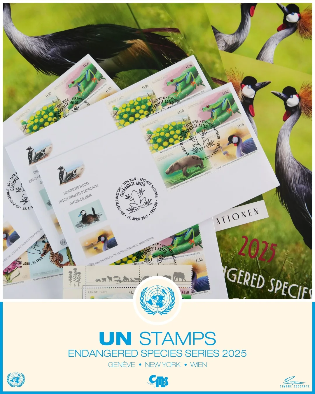 UN Stamps 2025 - Simone Zoccante 1