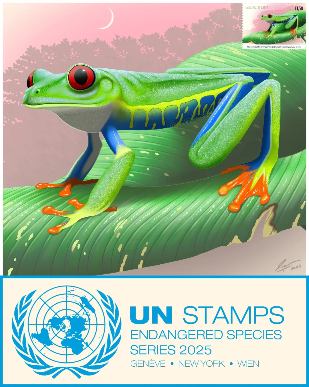 UN Stamps 2025 - Simone Zoccante Agalychnis (1)
