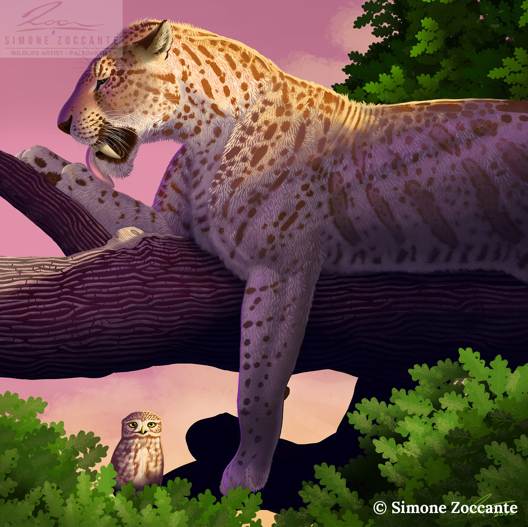 megantereon - web portfolio 1 - simonezoccante