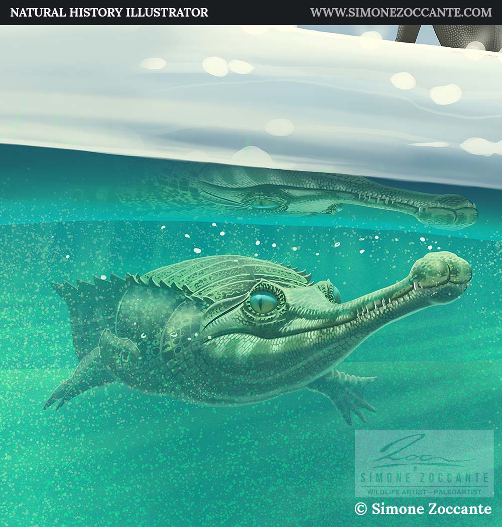 suchomimus dettaglio 3 v2 simonezoccante-1000px