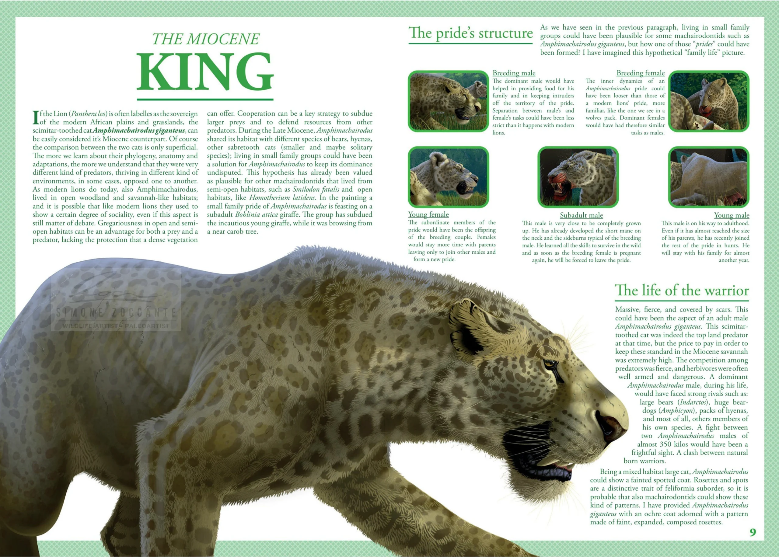 the miocene king - pikermi - simone zoccante