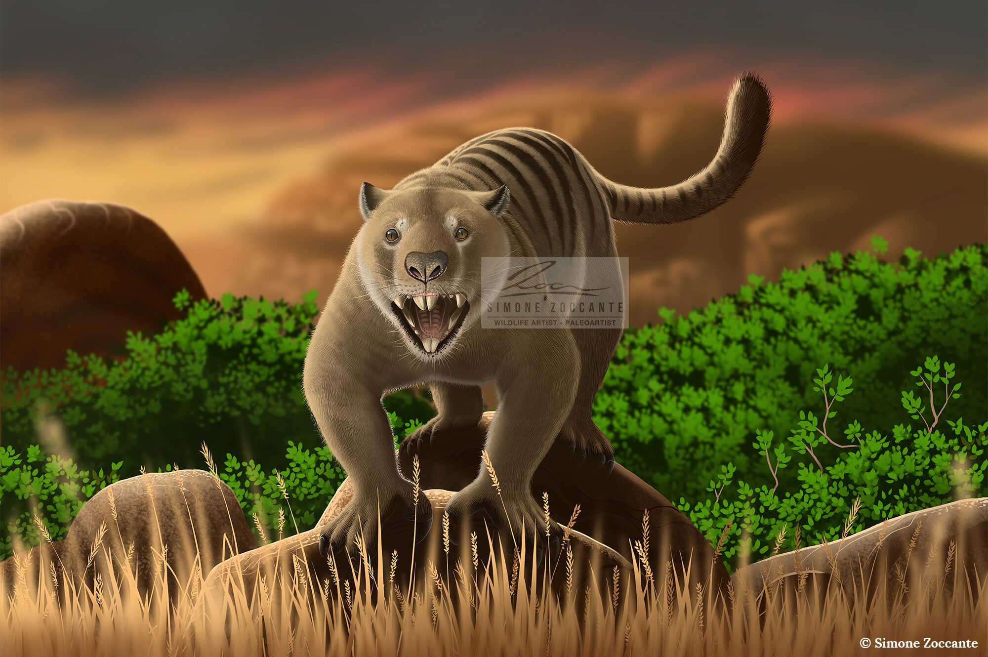 thylacoleo - full - simonezoccante