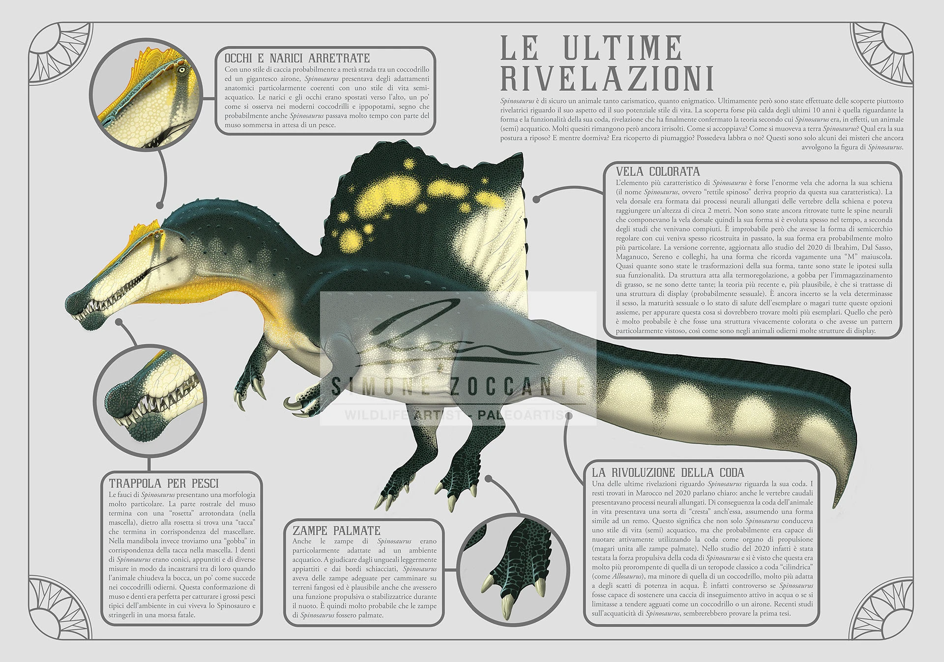 ultime-rivelazioni-spinosaurus