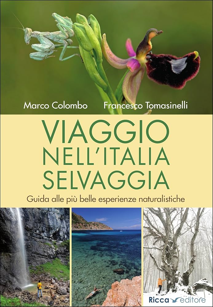 viaggio nell’italia selvaggia – copertina