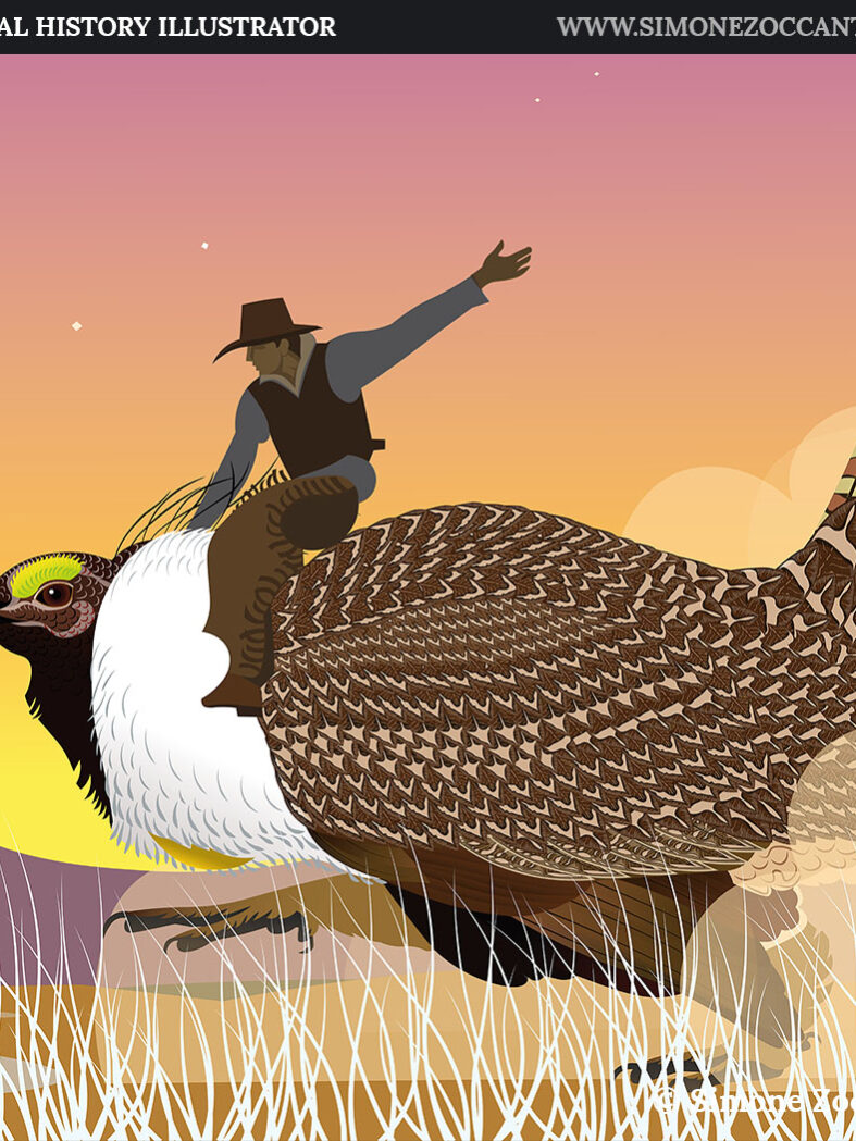 wyoming last wild west snapshot simonezoccante-1000px